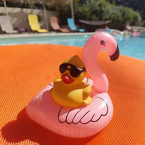 Ile Des Plaisirs, D'hotes Naturistes Avec Petit-dejeuner Tropical Inclus Maison d'hôtes